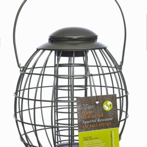 Pewter Flick 'n' Click Squirrel Resistant Fat Ball Feeder