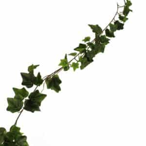 Green English Ivy Garland