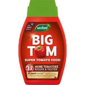 Westland Big Tom Tomato Food 1L