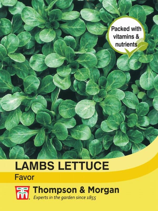 Lambs Lettuce Favor