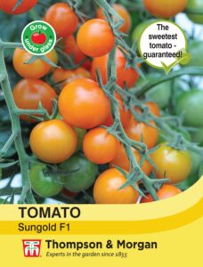 Tomato Sungold F1 Hybrid