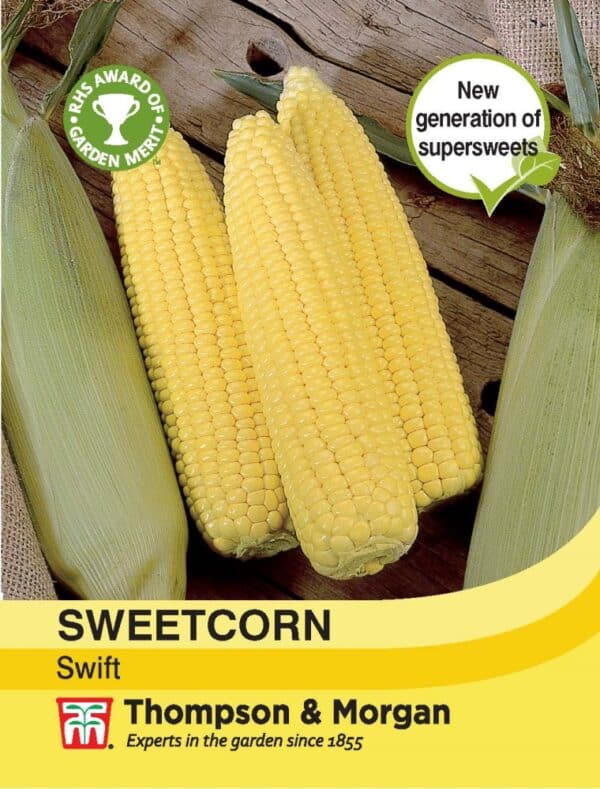 Sweetcorn Swift