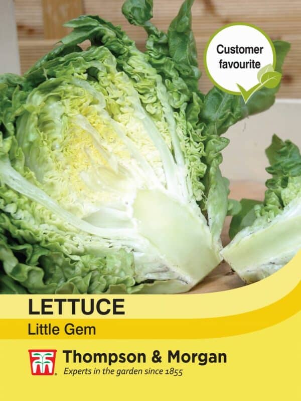 Lettuce Little Gem