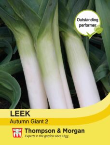 Leek Autumn Giant 2