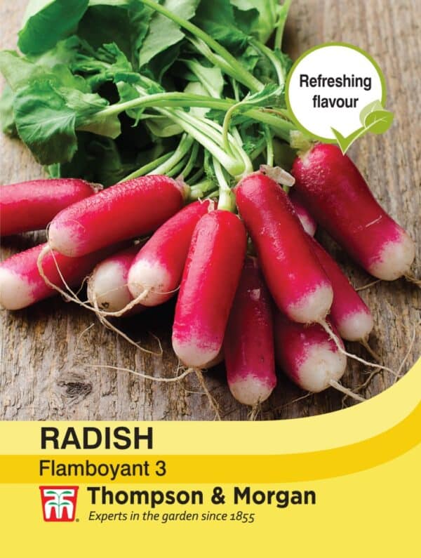 Radish Flamboyant 3