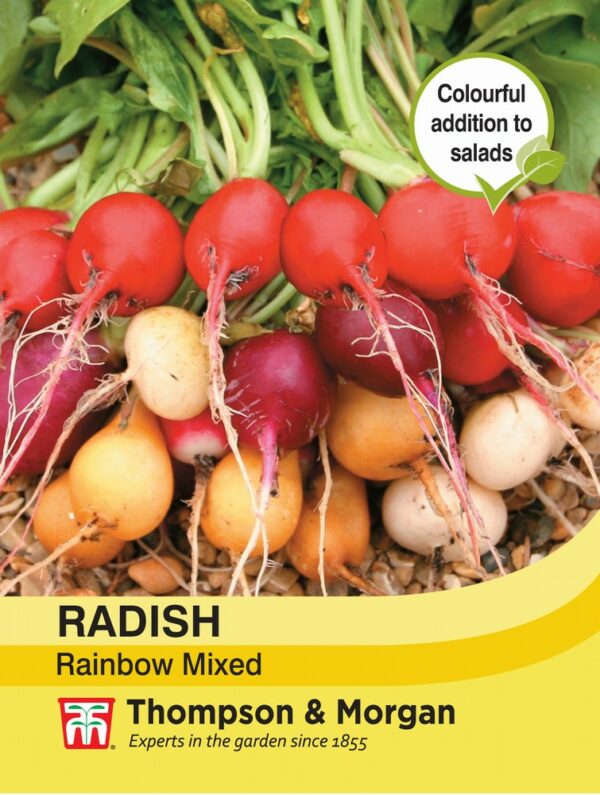 Radish Rainbow Mixed