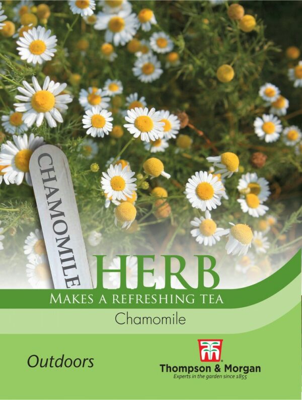 Herb Chamomile