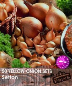 Onions Setton