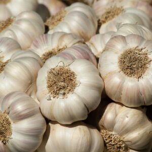 Garlic Cassablanca