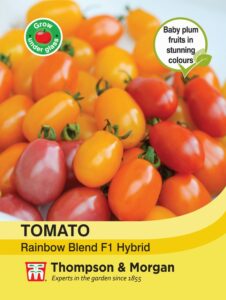 Tomato Rainbow Blend F1 Hybrid seeds