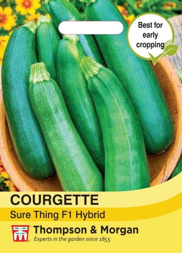 Courgette Sure Thing F1 Hybrid