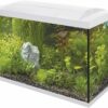 70L Tropical Kit White