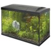 70L Tropical Kit Black