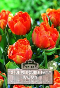 Tulips Double Early Icoon