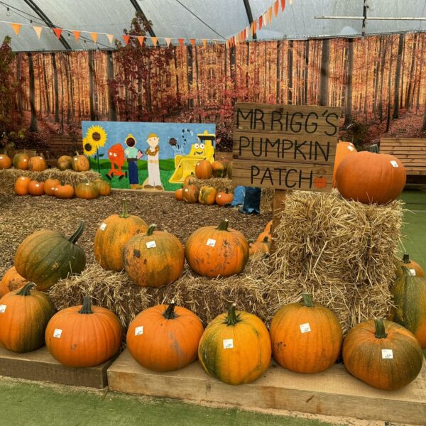 An indoor pumpkin patch with straw bales and Bob the Builder cuts outs.