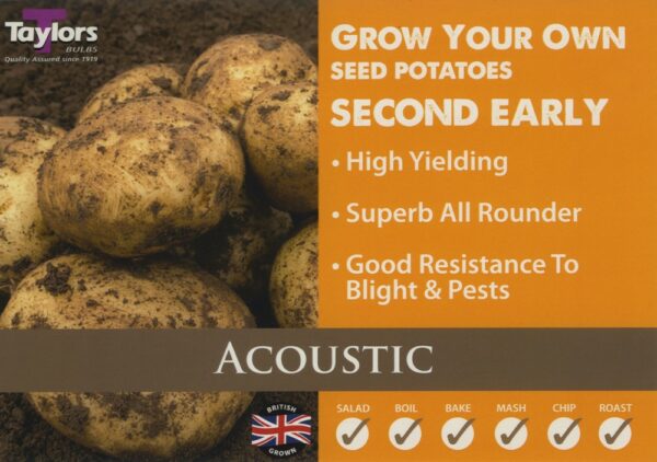 2kg Acoustic Seed Potatoes