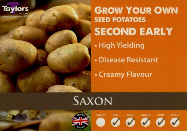 2kg Saxon Seed Potatoes