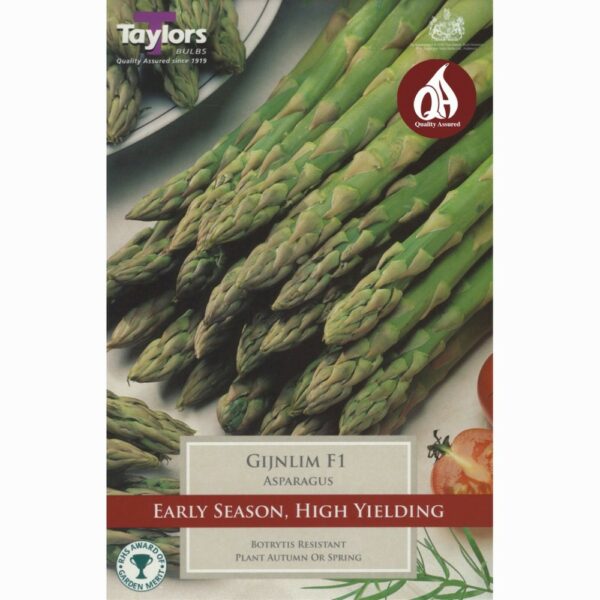 Asparagus Gijnlim F1