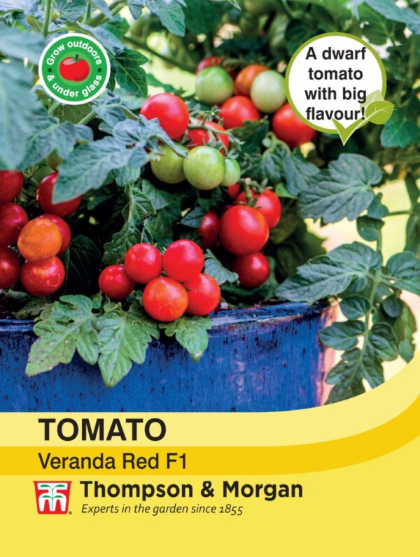 Tomato Veranda Red F1