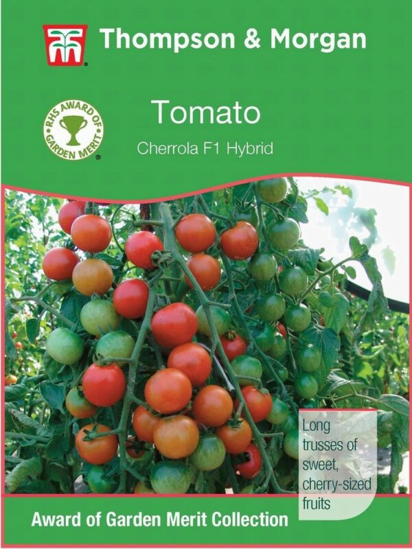 Tomato Cherrola F1 Hybrid