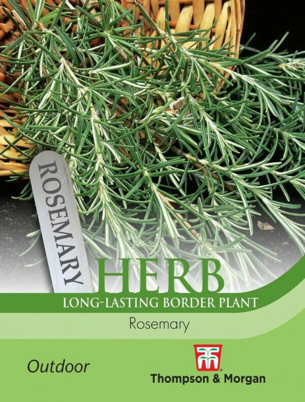 Herb Rosemary