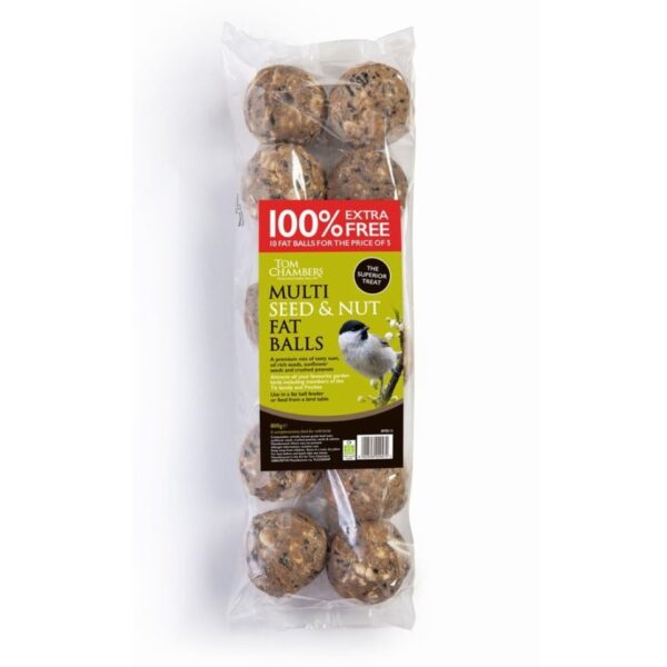 Fat Balls, 10 pack, Multi Seed & Nut