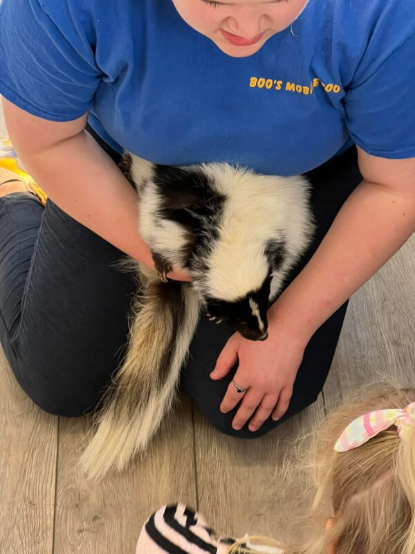 Child interacting with a skunk