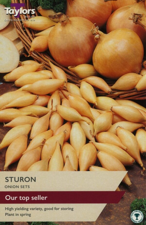 Onion Sturon