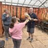 Child holding a barn owl