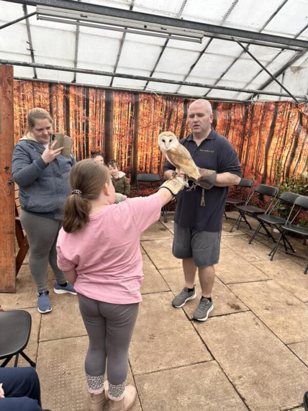 Child holding a barn owl