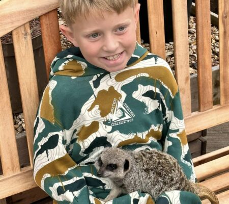 Child holding a meerkat