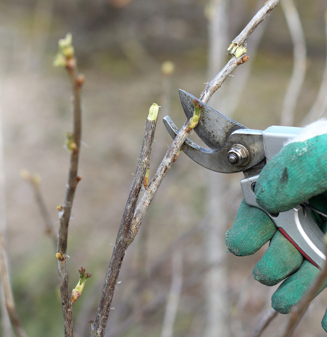 top tips for winter