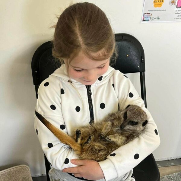 Child holding a meerkat